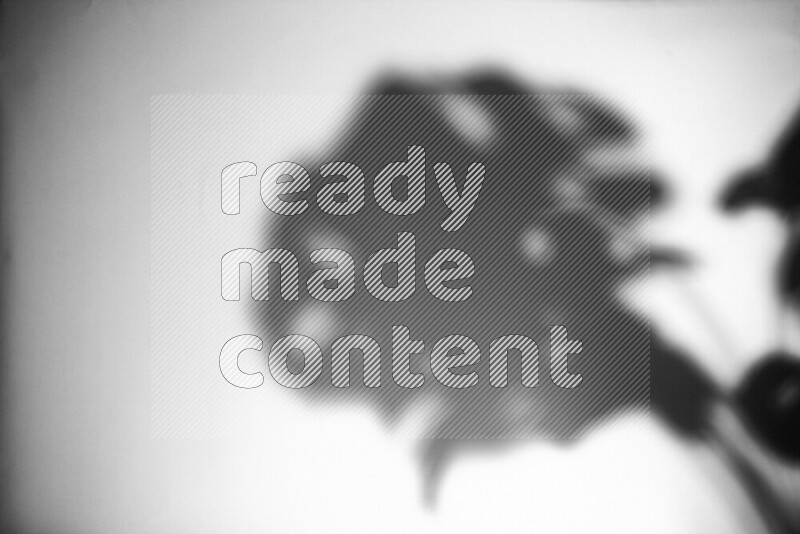 A delicate gobo light projects the silhouette of plant leaves onto a smooth surface