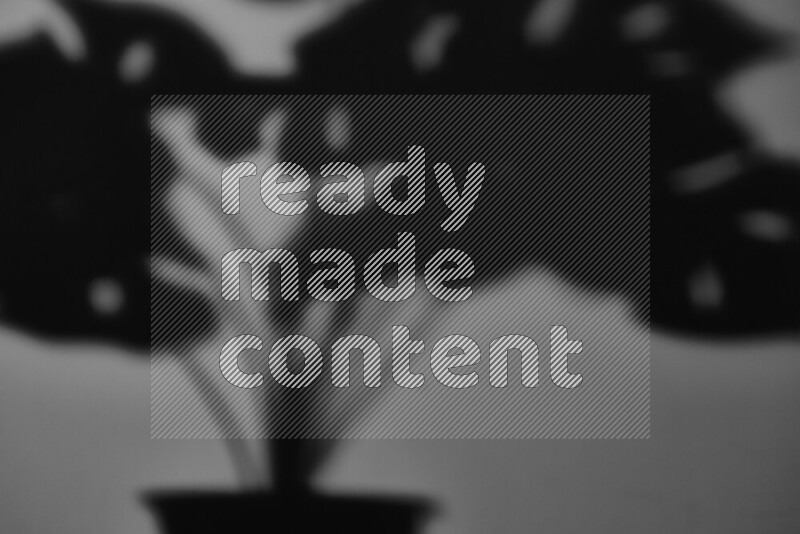 يظهر ضوء غوبو خافت ظلال أوراق نبات تسقط على سطح ناعم