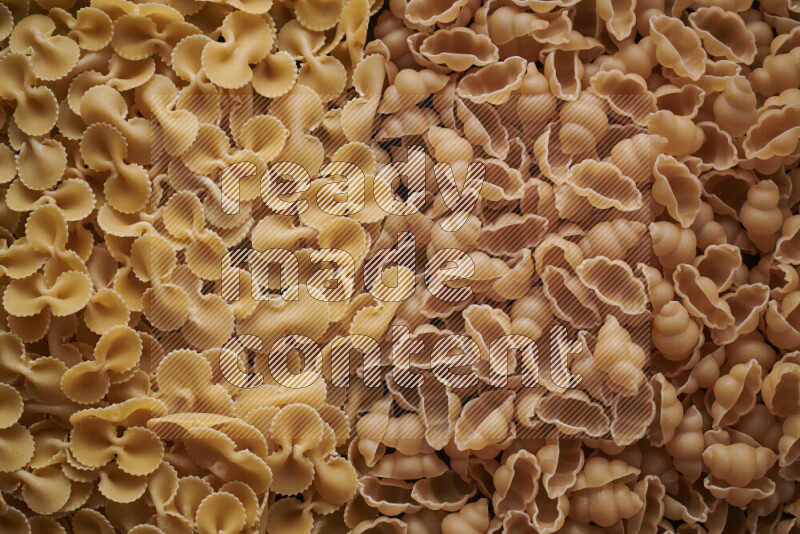 2 types of pasta filling the frame