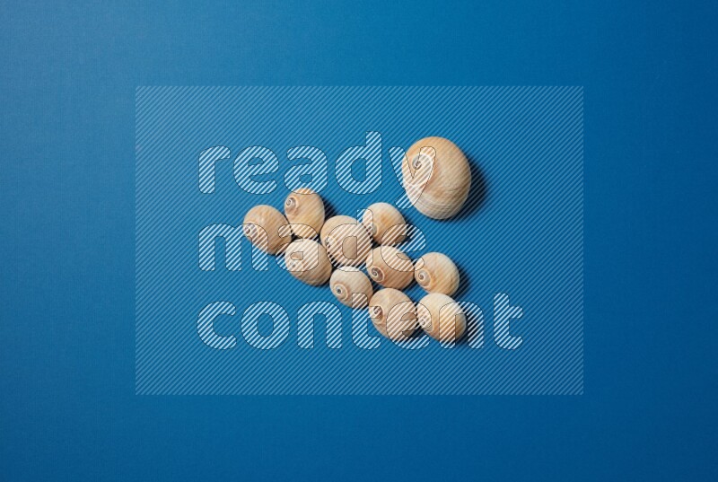 top view shot of seashells arrangement on blue background