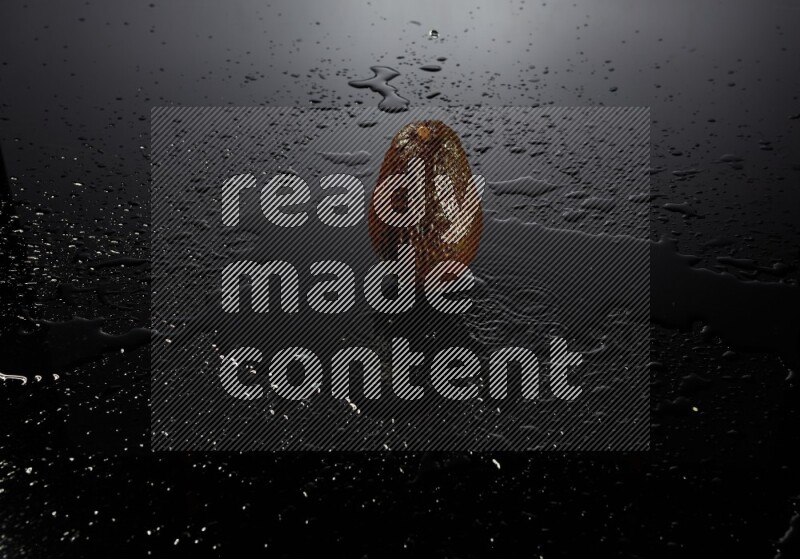 A whole avocado on black background with water drops.