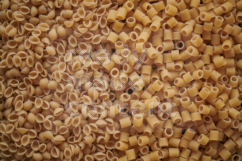 2 types of pasta filling the frame