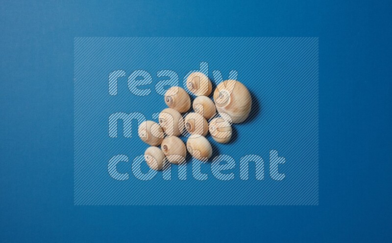 top view shot of seashells arrangement on blue background