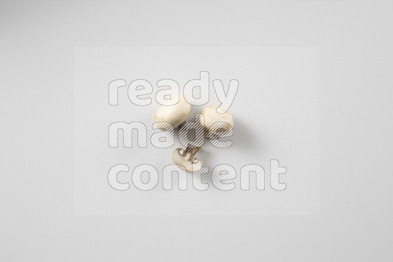 Mushrooms on white background