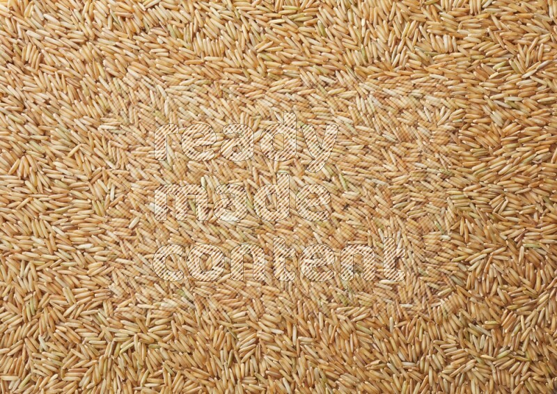 Top-view shot of long grain brown rice on white background