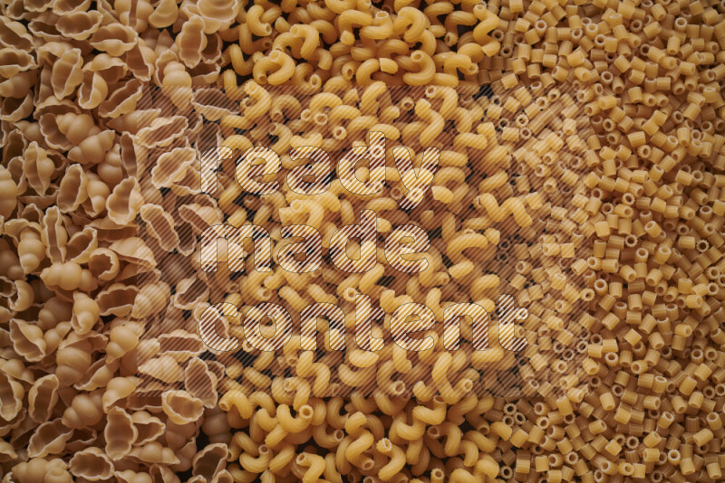 3 types of pasta filling the frame