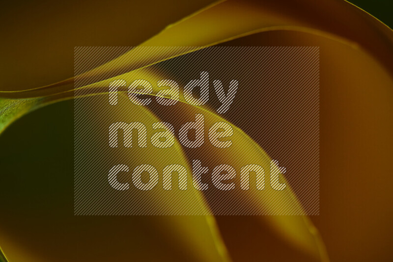 An abstract art piece displaying smooth curves in green and orange gradients created by colored light