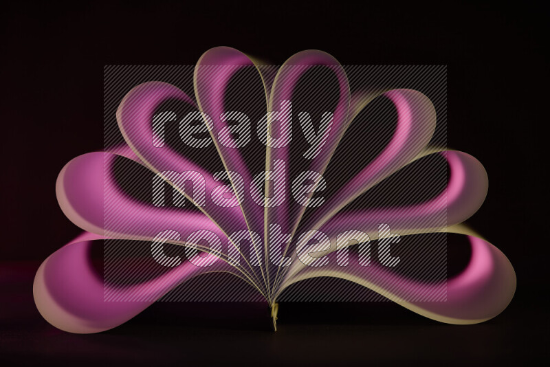 An abstract art piece displaying smooth curves in pink gradients created by colored light
