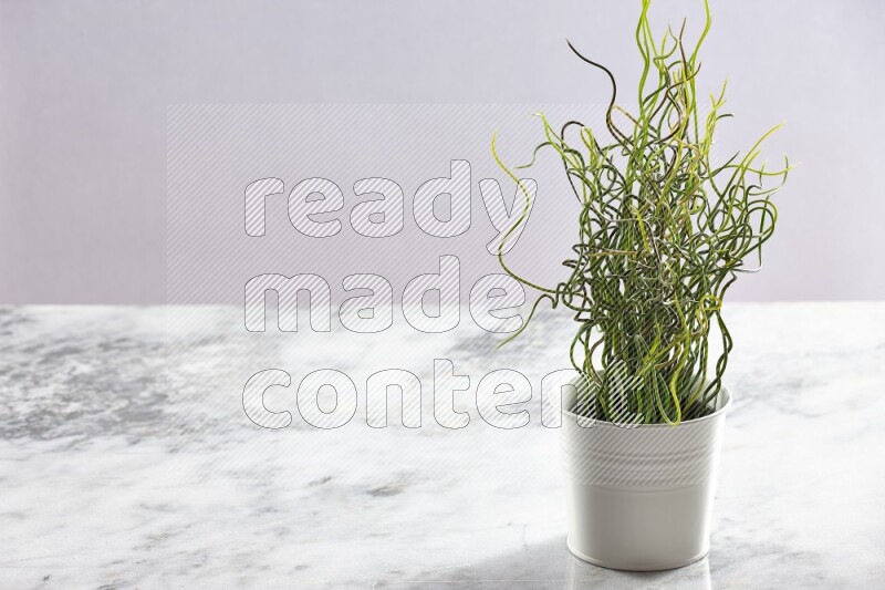 Green artificial plant in white pot on light grey marble background