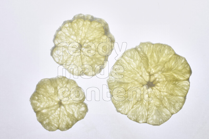 Orange slices on illuminated white background