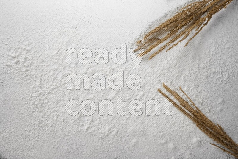 سنابل القمح على الدقيق الأبيض