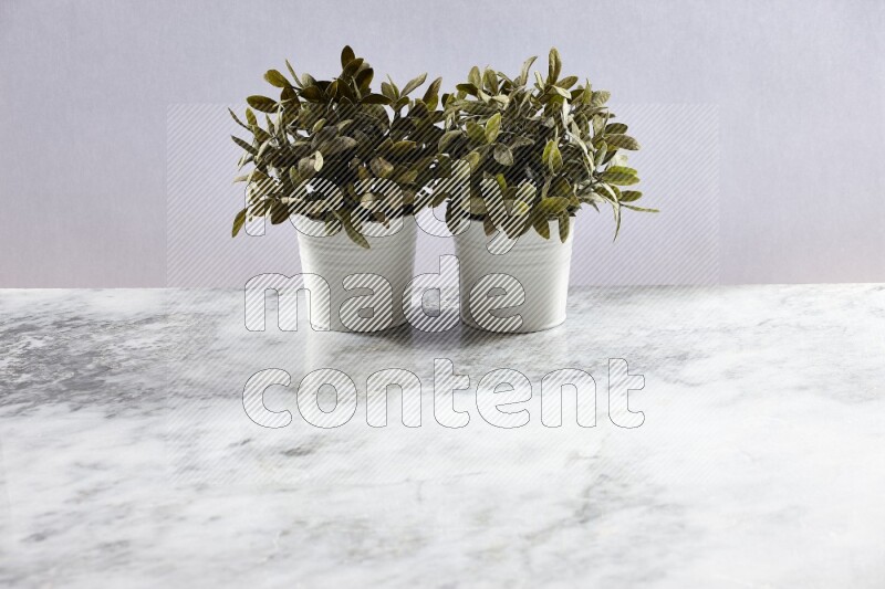Two green artificial plants in white pot on grey marble background