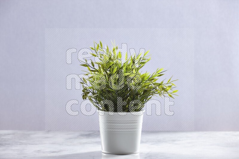 Green artificial plant in white pot on grey marble background