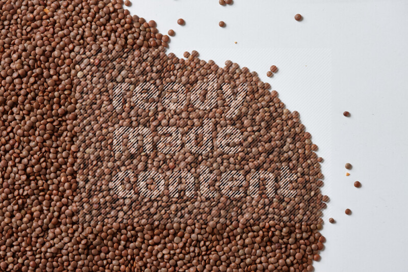 Brown lentils on white background