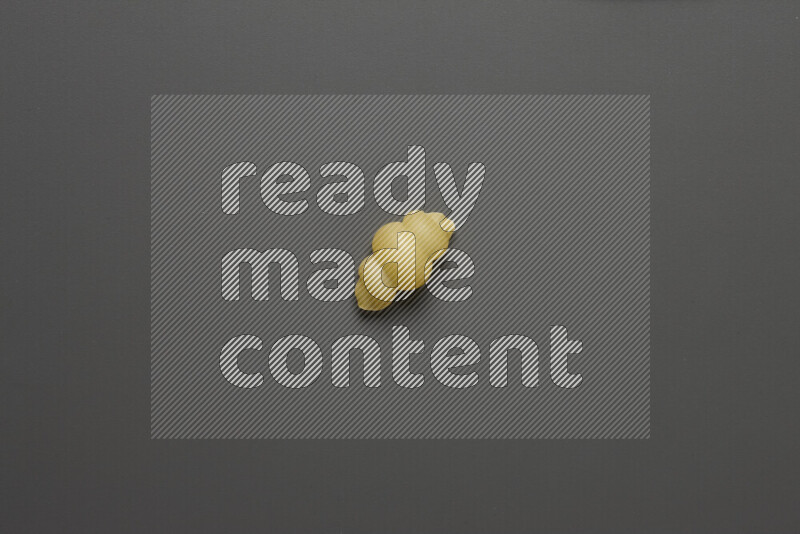 Snails pasta on grey background