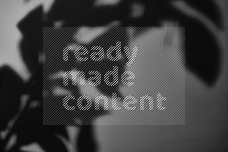 A delicate gobo light projects the silhouette of plant leaves onto a smooth surface