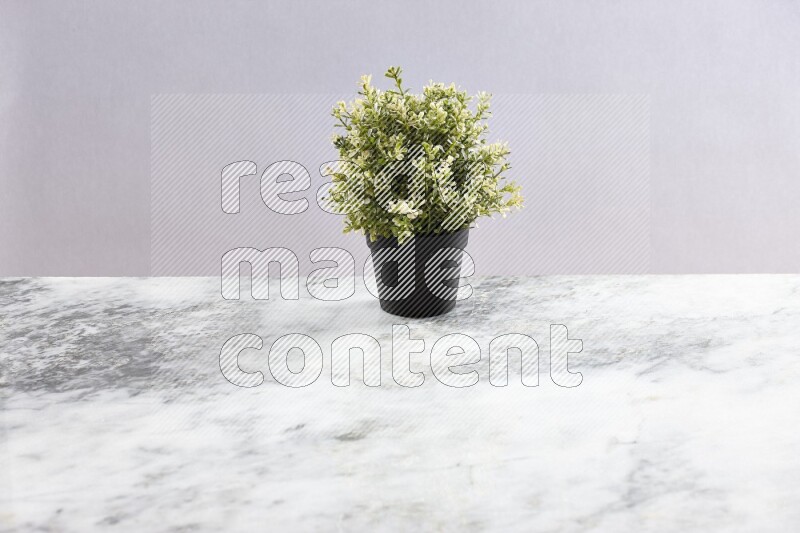 Artificial plant in black pot on grey marble background