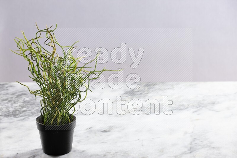 Green artificial plant in black pot on grey marble background