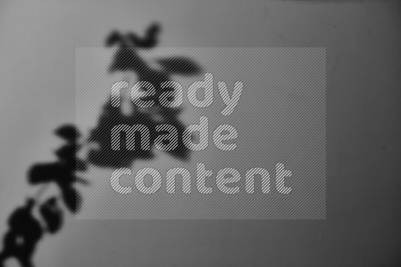 A delicate gobo light projects the silhouette of plant leaves onto a smooth surface