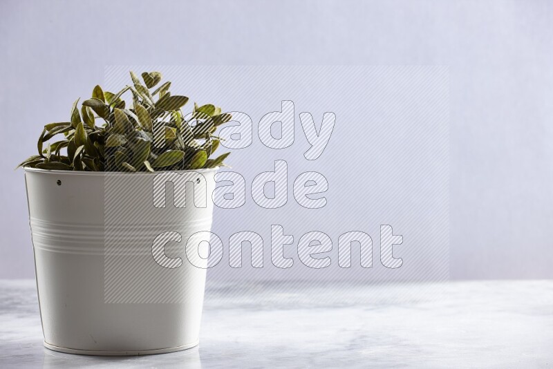 Green artificial plant in white pot on grey marble background