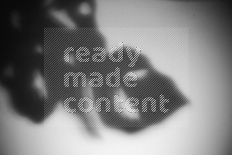 يظهر ضوء غوبو خافت ظلال أوراق نبات تسقط على سطح ناعم