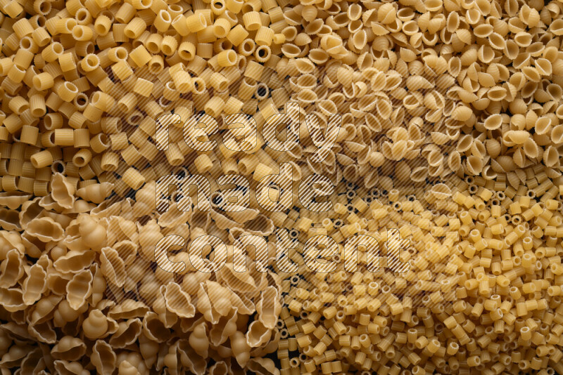 4 types of pasta filling the frame