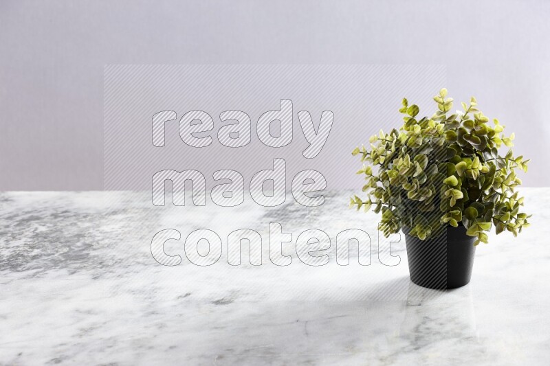 Green artificial plant in black pot on grey marble background