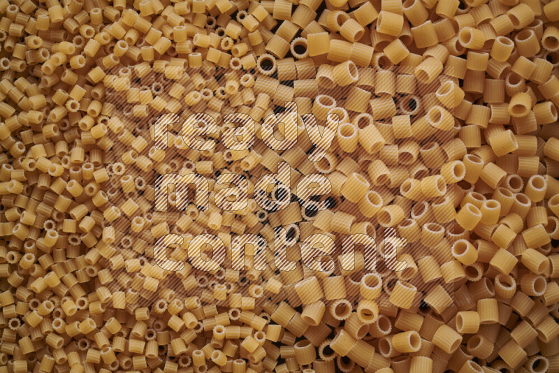 2 types of pasta filling the frame