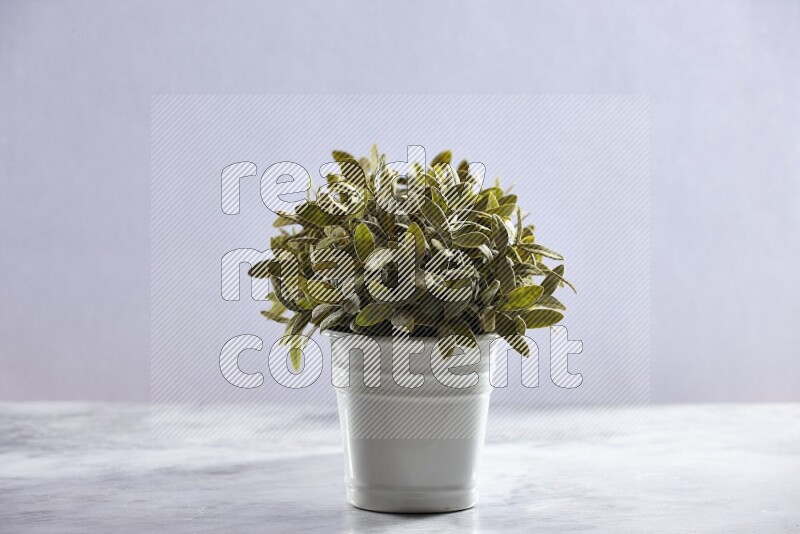 Multiple green artificial plants in white pot on grey marble background