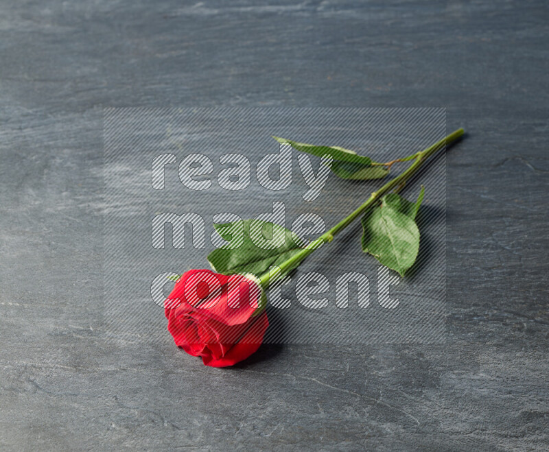 A single red rose with vibrant green leaves on black marble background