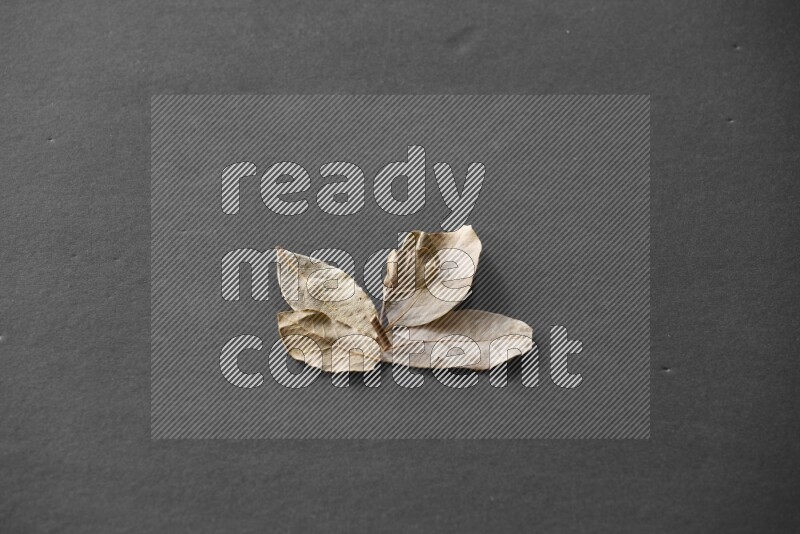 أوراق الغار علي خلفية سوداء