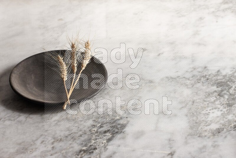 Wheat stalks on black pottery plate on grey marble background