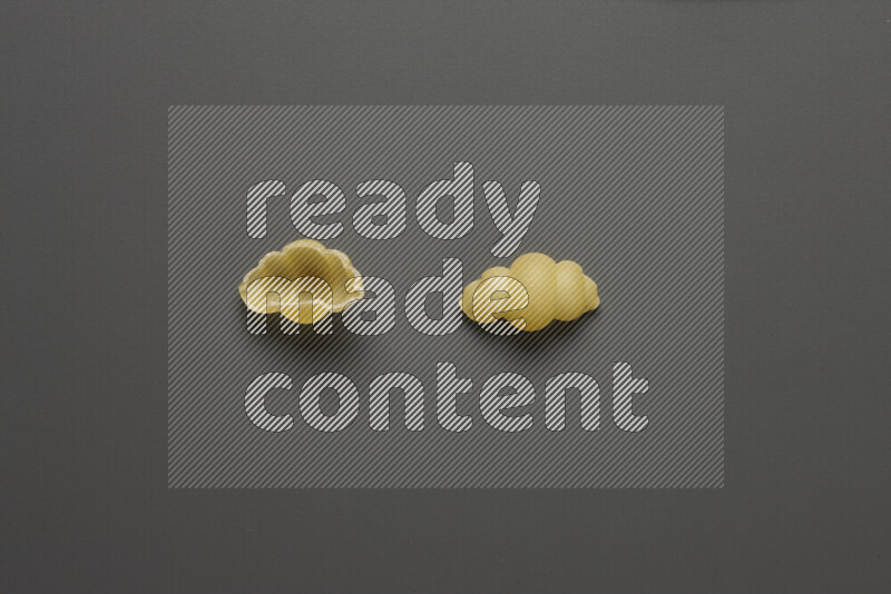Snails pasta on grey background