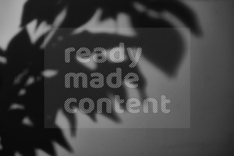 A delicate gobo light projects the silhouette of plant leaves onto a smooth surface