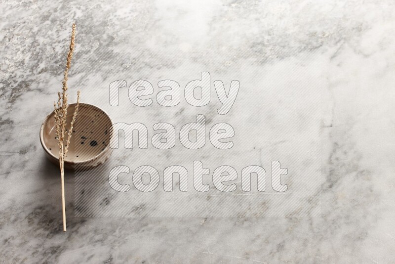 Wheat stalks on multicolored pottery bowl on grey marble background