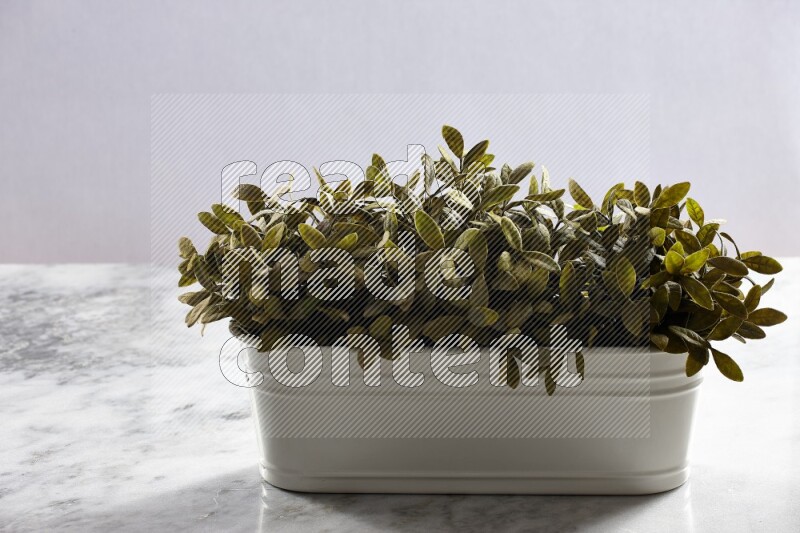 Multiple green artificial plants in white pot on grey marble background