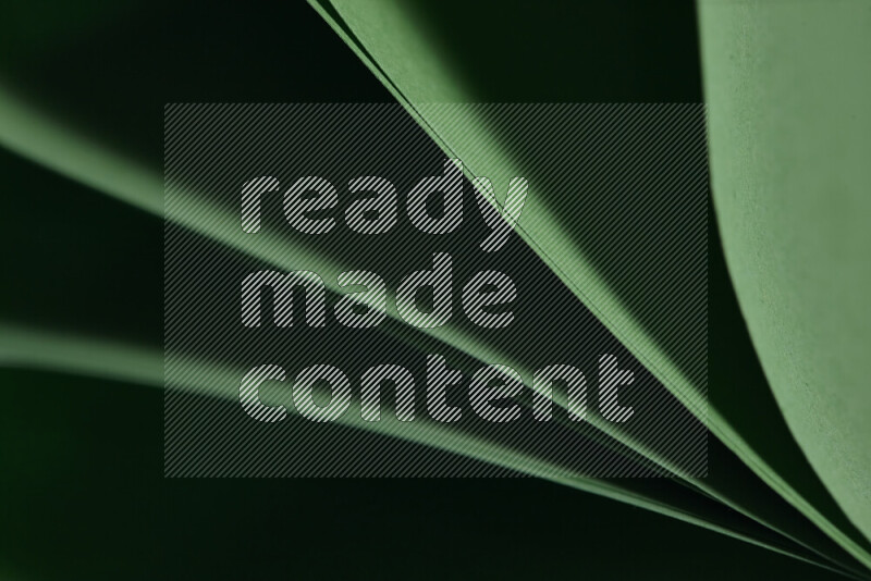 فن تجريدي يعرض المنحنيات المرتبة للأوراق باللون الأخضر