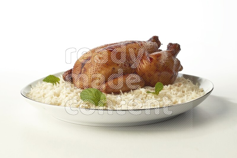 white  basmati Rice with  whole roasted chicken  on a white plate with a silver rim direct  on white background