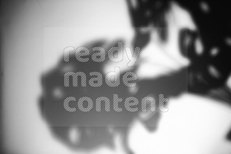 A delicate gobo light projects the silhouette of plant leaves onto a smooth surface