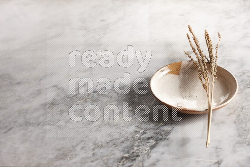 Wheat stalks on multicolored pottery plate on grey marble background