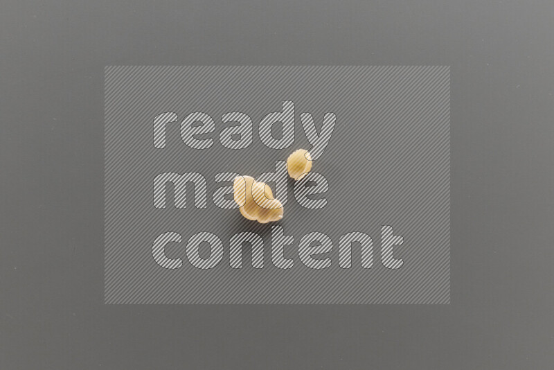 Snails pasta with other types of pasta on grey background