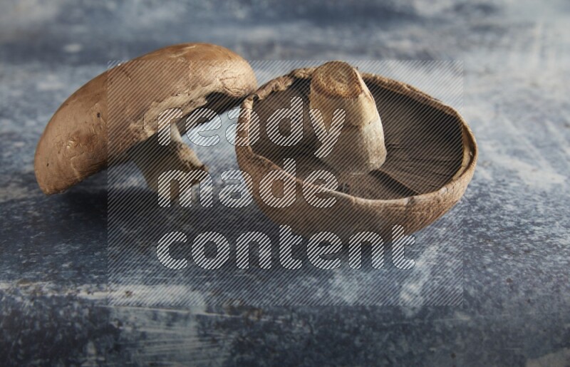 45 degre portobello mushrooms on a textured rustic blue background