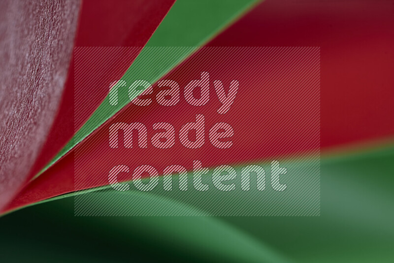 فن تجريدي يعرض المنحنيات المرتبة للأوراق باللون الأحمر والأخضر