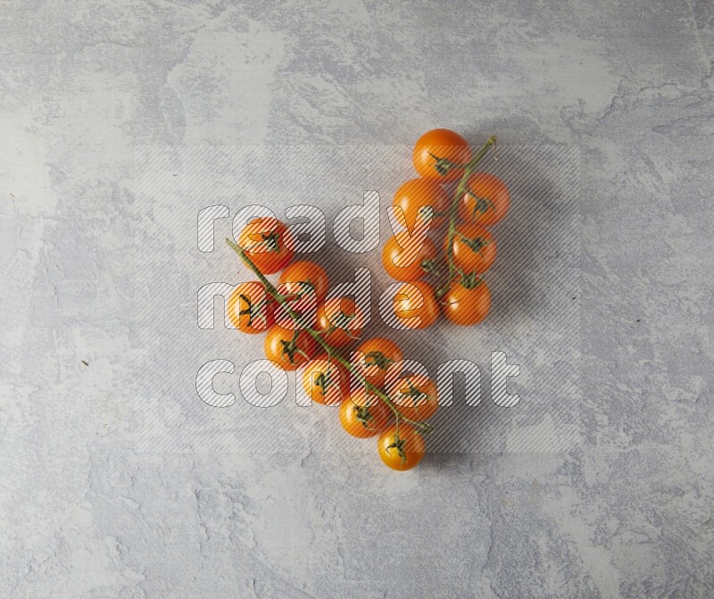 Single cherry Tomato vein topview on a light blue background
