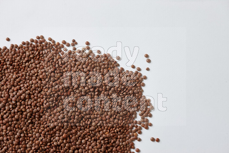 Brown lentils on white background