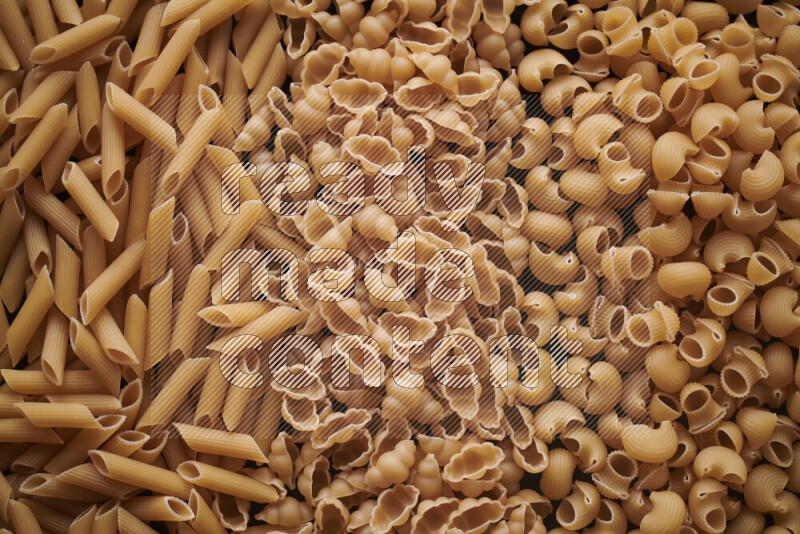 3 types of pasta filling the frame