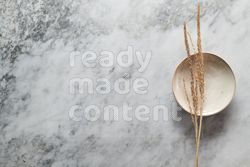 Wheat stalks on beige pottery plate on grey marble background
