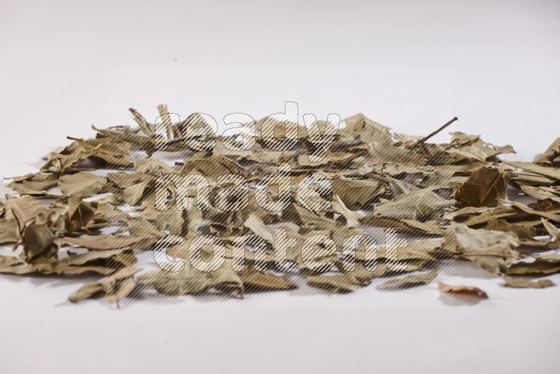 Dried bay leaves on white flooring in different angles