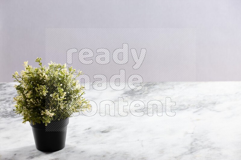 Artificial plant in black pot on grey marble background