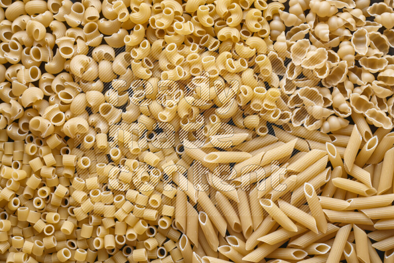 5 types of pasta filling the frame
